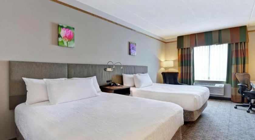 Hilton Garden Inn Appleton/Kimberly Bagian luar foto